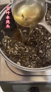 艾叶洗头的正确做法_新鲜艾叶煮水洗头，每周1-2次，温和护发