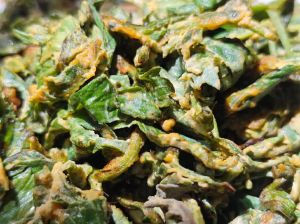 生艾叶炒鸡蛋正宗做法_艾叶炒鸡蛋，翠绿蛋香，简单美味！