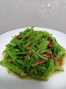 红梗菜的家常做法_红梗菜营养好，简单炒拌就美味！