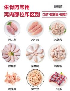鸡肉什么部位最嫩_小胸快炒鸡腿炖烤鸡翅烤炸