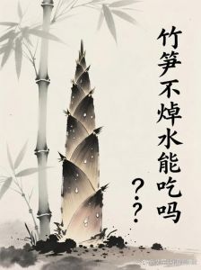 春笋焯水之前要焯水吗_浸泡焯水，凉拌炒炖皆宜