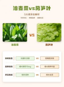 油麦菜是不是莴笋_油麦菜莴笋是同一种植物，吃法口感大不同
