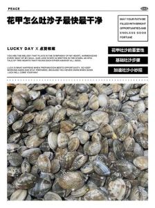 花甲怎样去沙子_温水铁勺活水流，美味更佳