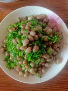 茴香苗凉拌花生米的家常做法_茴香苗凉拌花生胡萝卜，酸甜蒜香，清爽可口！