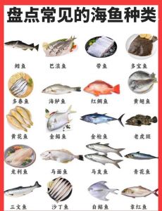 深海鱼和普通海鱼有哪些_差异与保护
