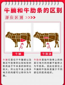 牛肋排是牛的哪个部位_牛肉部位怎么挑？选对味更佳！