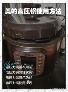 美的电炖盅的使用步骤_隔水炖汤，营养美味