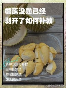 榴莲扒开了，硬没熟咋办_榴莲肉硬？香蕉苹果催熟法，冷藏慢熟！