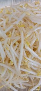 豆芽焯水几分钟_绿豆芽烫10-20秒保脆嫩，黄豆芽需3-4分钟熟透