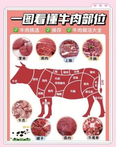 牛柳是牛的哪个部位肉_牛肉部位与做法全解析，肋条烤慢炖，肋眼做牛排！