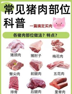 猪肘子在猪的哪个部位图片_前紧后糯，红烧炖汤两相宜