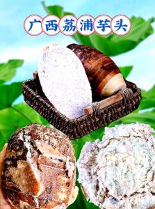 芋头食谱100种做法大全_香芋扣肉排骨煲，芋头美食做法