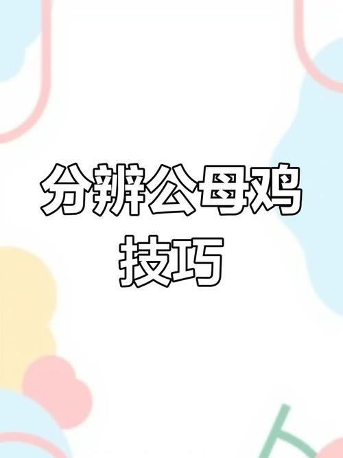 公鸡和母鸡的区别外观图片_公母鸡外观声音行为颜色差异 公鸡和母鸡的区别外观图片_公母鸡外观声音行为颜色差异