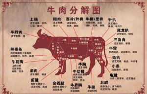 牛哪些部位最嫩_如何挑嫩牛肉？上脑里脊牛眼腱子牛腩全解析