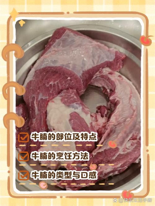 牛里脊和牛腩的区别_如何挑选与保存美味牛肉？
