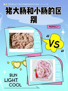 板肠和肥肠有啥区别_板肠肥肠鸭板肠口感做法