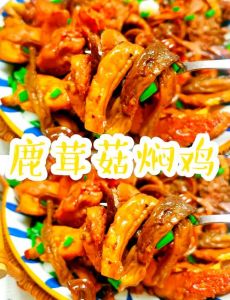 鹿茸菇炖鸡家常做法_鹿茸菇挑选泡发与食用技巧