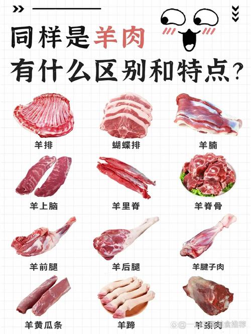 羊肉的正确切法图解_羊肉切片技巧,涮肉更柔嫩! 羊肉的正确切法图解_羊肉切片技巧,涮肉更柔嫩!
