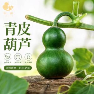 葫芦去青皮后水煮方法_水煮法轻松去皮，葫芦变干过程有趣