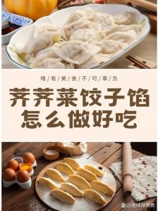 芨芨菜饺子馅的做法_清香咸香，家常美味！