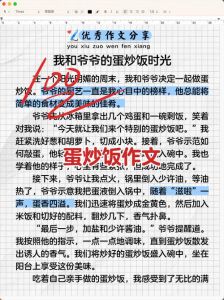在厨房做饭的小说描述：探索烹饪艺术的细腻情感与生活故事