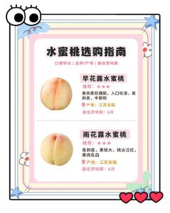 日本水蜜桃品种大全：精选口味与特点介绍