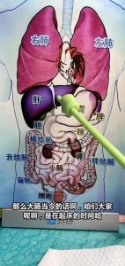 内脏肥肠指哪个部位_美味营养但要注意量