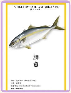 鲣鱼也属于金枪鱼吗_金枪鱼亲戚，高汤美食佳选