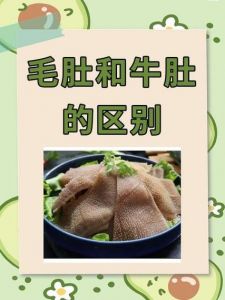羊肚和羊毛肚的区别_羊肚汤香，毛肚火锅鲜