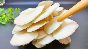 炒蘑菇为什么要焯水_焯水蘑菇去异味增鲜，炒煮煲炸方法不同