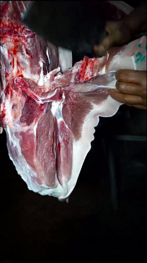 猪肉二刀肉部位图片_川粤风味大不同