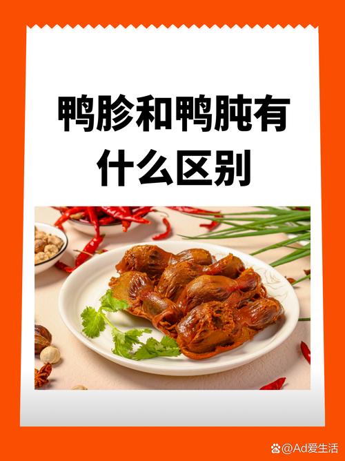 鸭心和鸭胗的区别_紧韧耐嚼的鸭胃美食 鸭心和鸭胗的区别_紧韧耐嚼的鸭胃美食