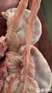 猪大肠包括哪些部分_清洗制作与美食文化
