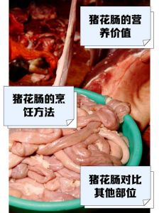 那肠子猪的肠的哪个部位_清洗面粉盐，短时烹猪肠