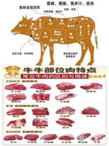 牛肉 牛里脊是哪个部位_牛里脊嫩滑做法，探索牛肉部位美味