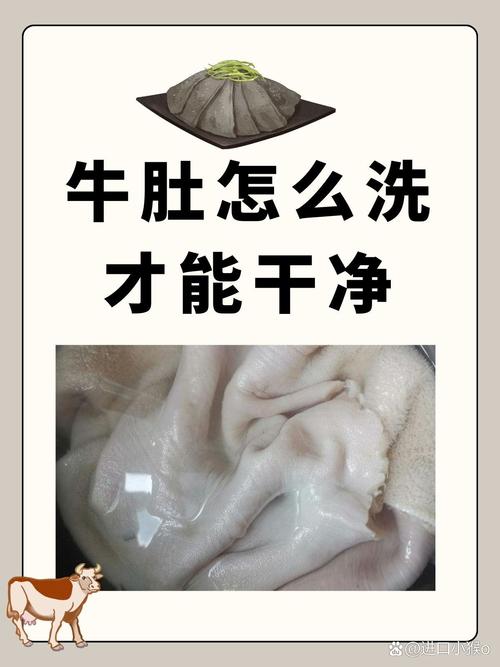 怎样洗牛肚又快又干净_盐醋揉搓温水刷，去腥保鲜超简单！