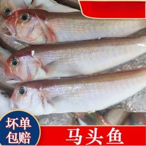 潮汕冻鱼的做法大全_海鳗熬冻，鲜香解腻好美味