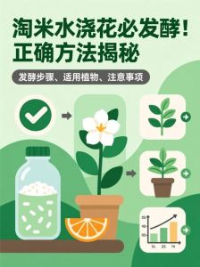 淘米水能直接浇花的正确方法_淘米水发酵后浇花，喜酸花适用
