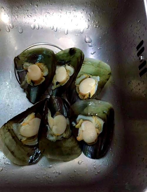 冰冻带子肉的做法_解冻带子肉做法,快炒美味技巧 冰冻带子肉的做法_解冻带子肉做法,快炒美味技巧