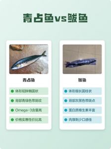 金枪鱼和鲅鱼的区别_鲅鱼鲜美价廉，红烧香煎皆宜
