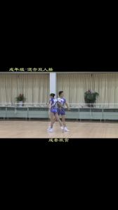 成年双人啦啦操全套视频：从节奏编排到营养补给，探讨运动与健康饮食的协同搭配及科学调理方法