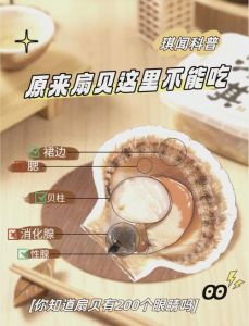 干贝和扇贝有什么区别_扇贝干贝营养对比，哪个更适合你？
