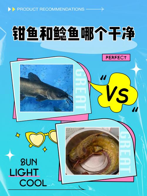 钳鱼与瓦子鱼的区别_看尾鳍触须斑点! 钳鱼与瓦子鱼的区别_看尾鳍触须斑点!