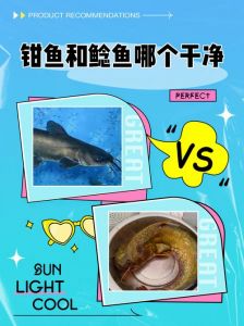钳鱼与瓦子鱼的区别_看尾鳍触须斑点！
