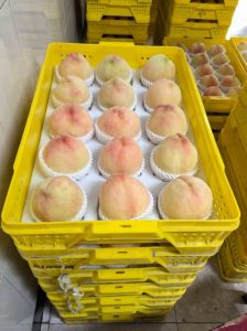 水蜜桃影视传播有限公司：从水蜜桃风味探寻影视创意与桃文化在美食中的多元表达与传播 美食文化类