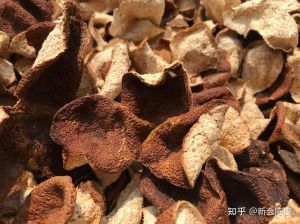 陈皮变软了如何处理_陈皮变软怎么办？简单恢复干燥，储存有妙招！