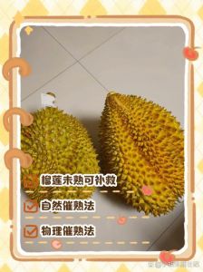 榴莲扒开了，硬没熟咋办_榴莲催熟妙招，微波炉改善口感