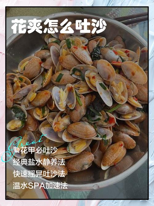 花甲吐沙正确方法图解_花甲吐沙3妙招,轻松美味! 花甲吐沙正确方法图解_花甲吐沙3妙招,轻松美味!