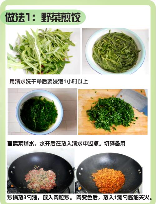 炒古麻菜的家常做法_山野珍品古麻菜,微苦回甘清热,夏日食之清凉,凉拌炒制皆美味 炒古麻菜的家常做法_山野珍品古麻菜,微苦回甘清热,夏日食之清凉,凉拌炒制皆美味