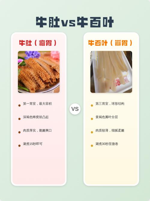 生牛肚和熟牛肚区别_清洗焯水控火候,调味搭配牛肚香 生牛肚和熟牛肚区别_清洗焯水控火候,调味搭配牛肚香